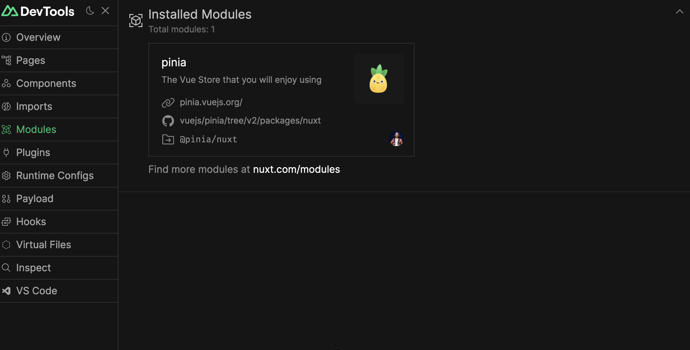 Nuxt devtools module screen